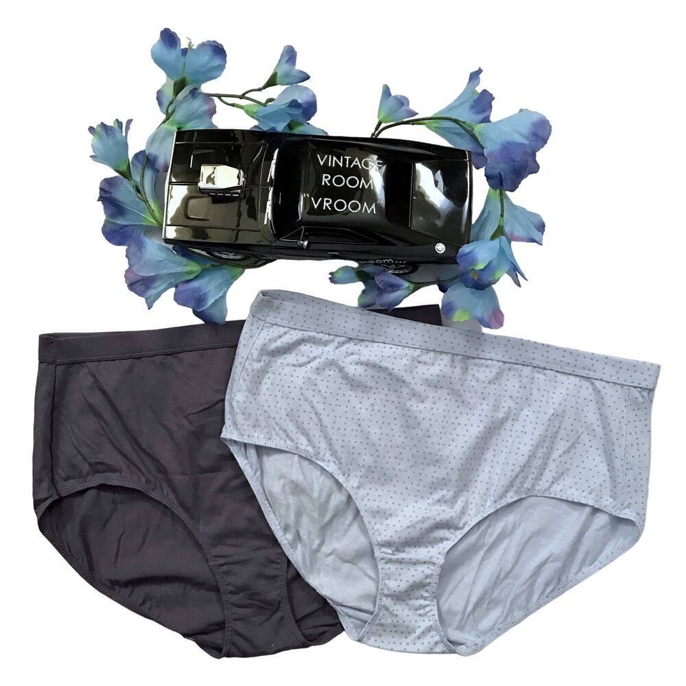 Hanes NWOT 2 Pack Bundle Brief Panties Women 9/2XL